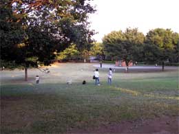 �C���[�W�ʐ^2